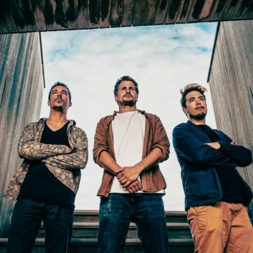 Wildation - Promo 2024 - Corentin Pechine